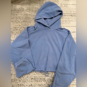 Aritzia Babaton Blue Cropped Hoodie
